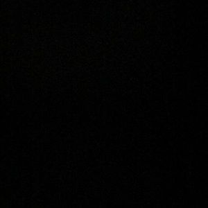 Meet your Posher, Timothy